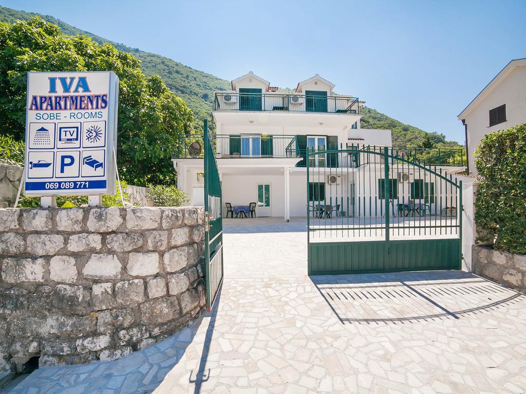 Iva Kotor
