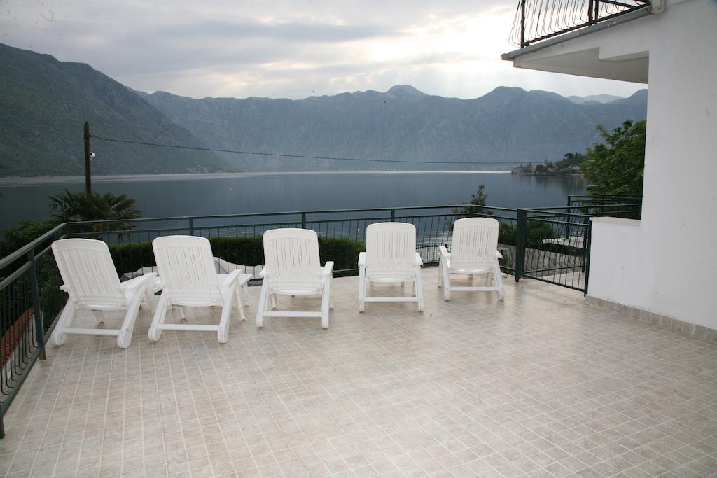 Iva Kotor